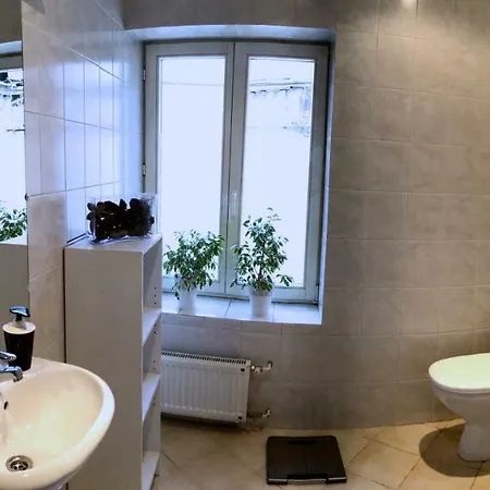 Cosy Old Town Roof View Apartment Riga